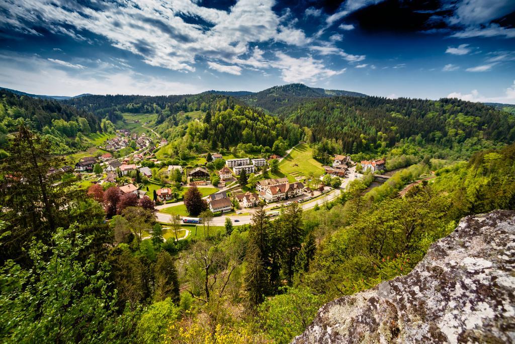 Holzschuhs Schwarzwaldhotel Байрсброн Экстерьер фото