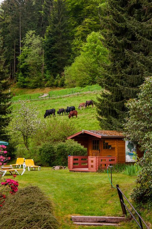 Holzschuhs Schwarzwaldhotel Байрсброн Экстерьер фото